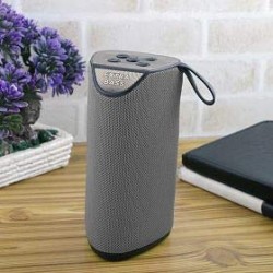 GT111 Portable Wireless Bluetooth Speakers Mega Bass Splash Proof,USB,FM,TF Card and AUX Cable- Gray